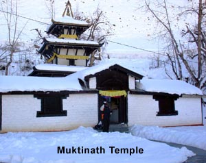 Muktinath Darshan Yatra